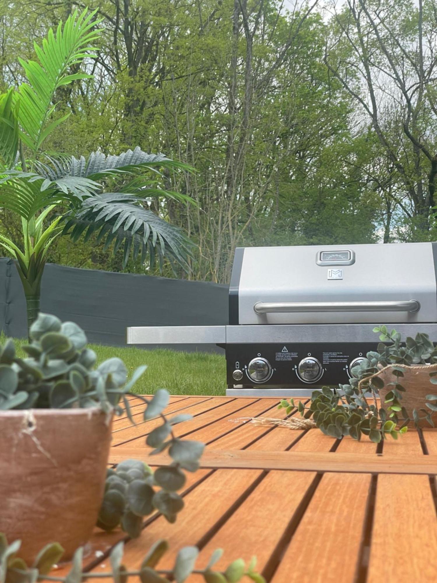 Sinalospa - Culiacan - Appartement Jardin Jacuzzi Sauna A 5 Minutes De Nancy Place Stanislas Champigneulles Eksteriør bilde